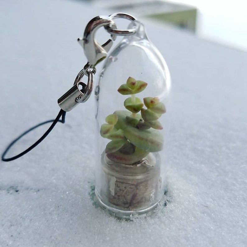 May include: A small succulent plant in a clear glass vial with a cork stopper. The vial is attached to a black string and a silver metal clasp. The vial is sitting on a white surface.