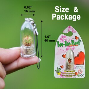 May include: A small, clear glass terrarium with a tiny cactus plant inside. The terrarium is attached to a black string and is about 1.6 inches tall and 0.62 inches wide. The terrarium is packaged in a pink and white card with the text "Boo-Boo Plant" and a warning label.
