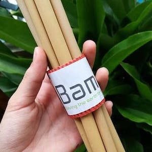 Bamboo Straws Organic Wild Pack of 5
