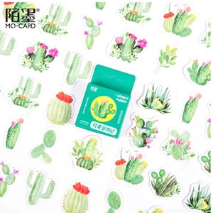 May include: A selection of cactus stickers in diverse forms, featuring green and pink floral details. A small, open green box displays a cactus illustration and the text "LOVELY FLESHY". The stickers are spread across a white surface.