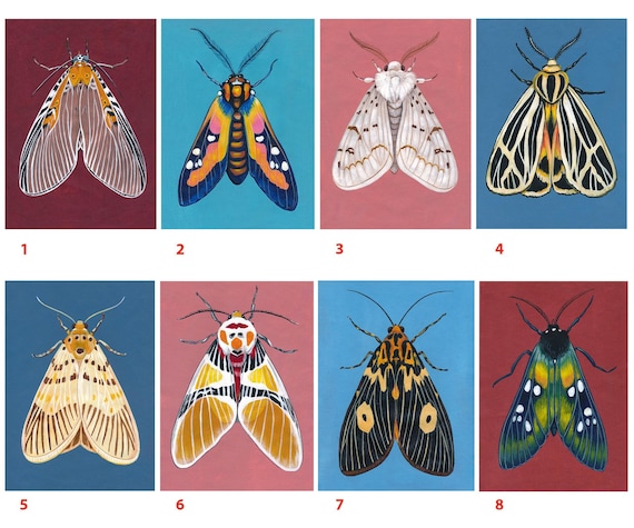 Original Moth Painting on Handmade Paper