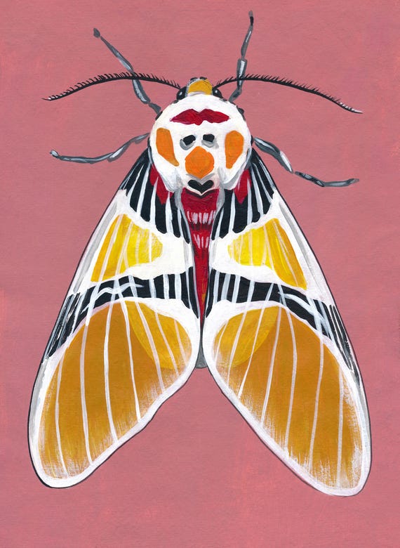 Original Moth Painting on Handmade Paper