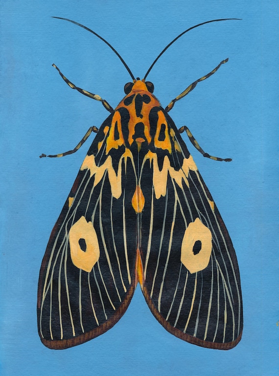 Original Moth Painting on Handmade Paper