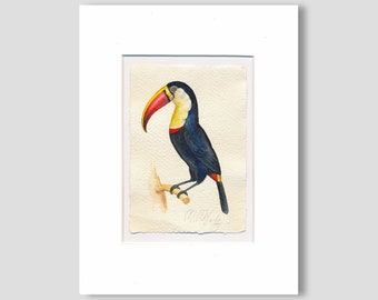 Toucans Bird watercolor original, small mural, botany simple, exotic bird hand-painted unique