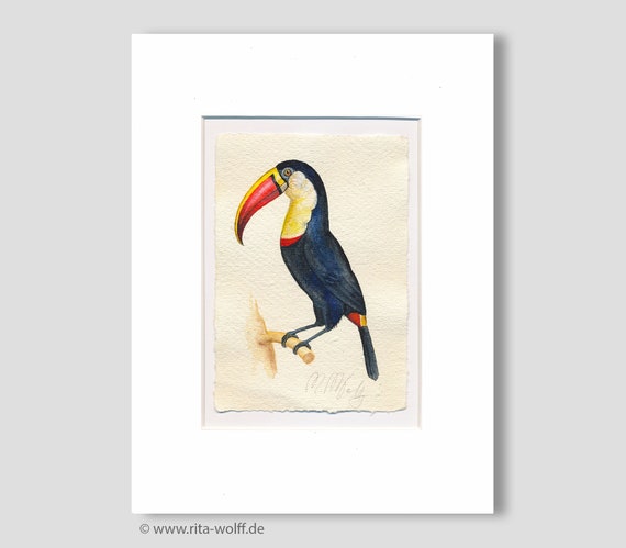 Toucans Bird watercolor original, small mural, botany simple, exotic bird hand-painted unique