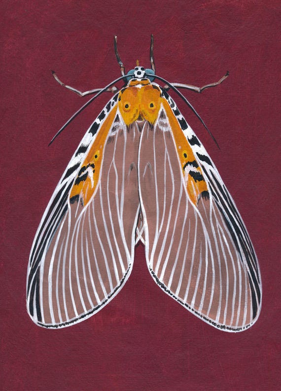 Original Moth Painting on Handmade Paper
