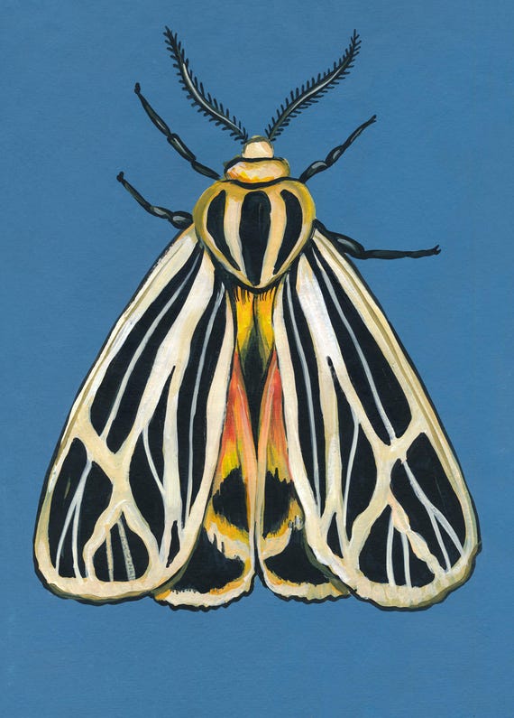 Original Moth Painting on Handmade Paper