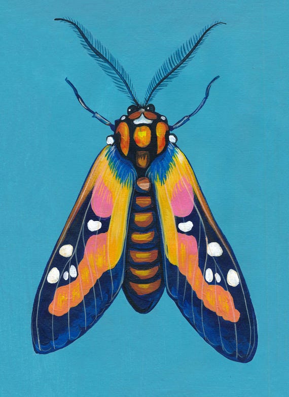 Original Moth Painting on Handmade Paper