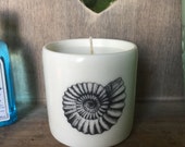 Scented candle in a hand thrown white porcelain cylinder,embellished with three Victorian era Amonites.Sandalwood Black Pepper fragrance.