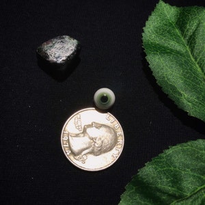 May include: A green glass eye, a silver US quarter with the year 1974 and the words "In God We Trust" and "Liberty", and a dark green leaf on a black background.