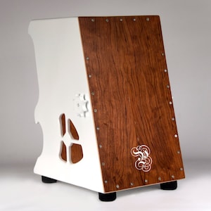 Cajon Charcharodon image 1