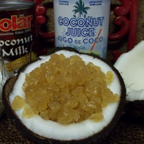 Live Organic Coconut Water Kefir Grains.. Etsy