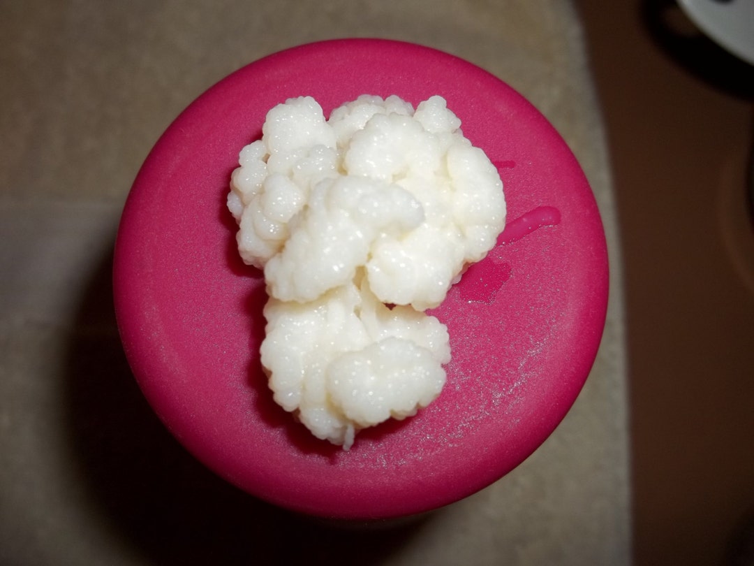 How to Make Coconut Milk Kefir Etsy