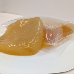 X-LARGE Kombucha SCOBY & 1 Cup Starter Tea | POSEYMOM | Brew Your Own Kombucha | Easy Online Instructions | Makes 1 Gallon