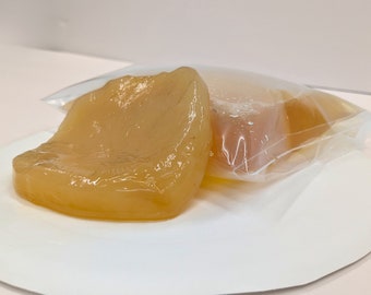 X-LARGE Kombucha SCOBY & 1 Cup Starter Tea | POSEYMOM | Brew Your Own Kombucha | Easy Online Instructions | Makes 1 Gallon