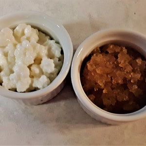 Kefir Duo- water and milk