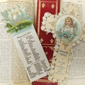 Heilige Bijbel 1901 Nelson Standaard Nieuwe Oude Testament Chicago Gebedskaarten Pasen Bladwijzer Paperback Lichtgewicht Duits Katholiek