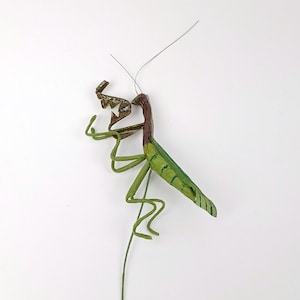 Op de afbeelding: Een decoratief bidsprinkhaanbeeldje. Het insect is voornamelijk groen met bruine en bronzen accenten. Het lichaam is langwerpig met gedetailleerde poten en antennes. Het beeldje is gemaakt van papier en draad.