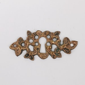 Könnte beinhalten: Eine bronzefarbene Schlüssellochblende mit einem verzierten, organischen Design. Die Blende hat ein zentrales Schlüsselloch, das von einem dekorativen, blütenartigen Muster mit kleinen Löchern und strukturierten Details umgeben ist. Die Gesamtästhetik ist Vintage.