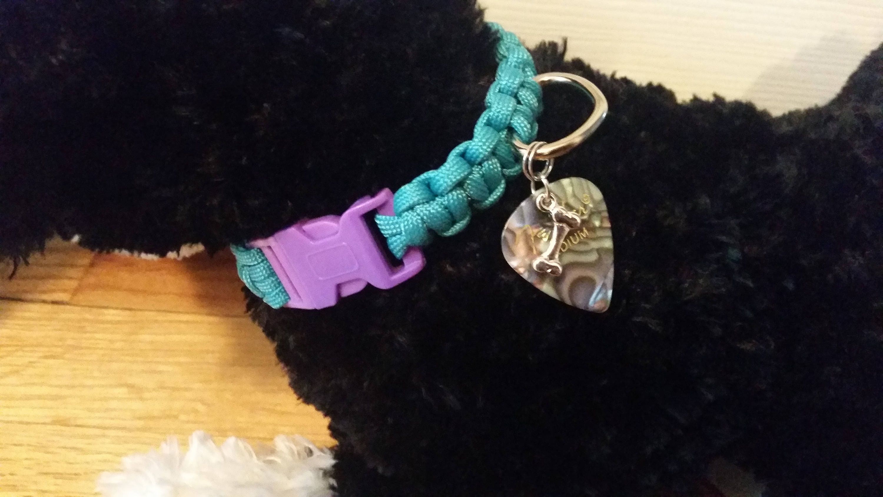 5/8 Wide Paracord Dog Collar Dog Collar Guitar Pick