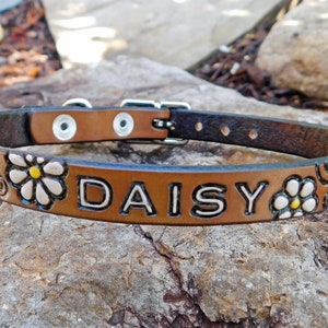 Small Dog or Pet Collar, Leather Dog Collar, Handmade Leather Collar, Thin 1/2 Inch Wide Collar, Scroll Daisy Cat Collar, Small Pet Collar