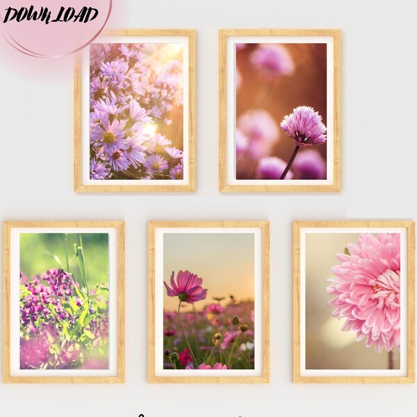 Printable pink colour SUMMER & SPRING FLOWERS! Family decor, wall art, posters, pictures to light up your home!