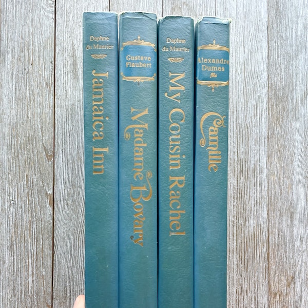 Set of 4 Books | Camille by Alexander Dumas | Madame Bovary by Gustave Flaubert | Jamaican Inn and My Cousin Rachel by Daphne du Maurier