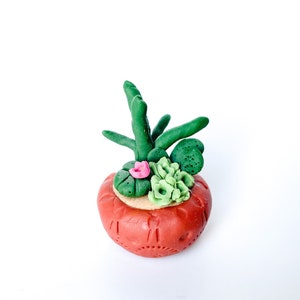 May include: A small terracotta pot with a green succulent plant and a pink flower inside.