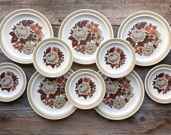 Royal China by Jeanette Waverly Collection Stoneware Dinner and Roll Plates Set of 5 | Luncheon | Cottage Chic China