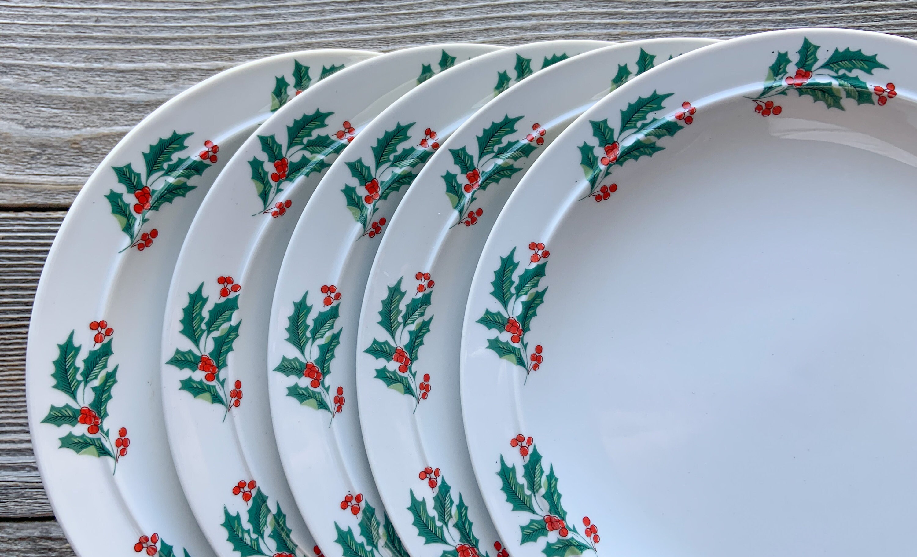 Christmas Dinner Plates Set of 5 Dinner Plates Christmas | Etsy