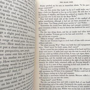 Puede incluir: Un primer plano de una p&aacute;gina de libro con texto sobre una serpiente y un personaje llamado Walter. El texto describe una serpiente entrando en una tienda de campa&ntilde;a y la reacci&oacute;n de Walter. El libro se titula "La Rosa Negra" y el n&uacute;mero de p&aacute;gina es 197.