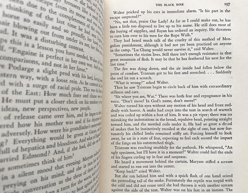 Puede incluir: Un primer plano de una p&aacute;gina de libro con texto sobre una serpiente y un personaje llamado Walter. El texto describe una serpiente entrando en una tienda de campa&ntilde;a y la reacci&oacute;n de Walter. El libro se titula "La Rosa Negra" y el n&uacute;mero de p&aacute;gina es 197.