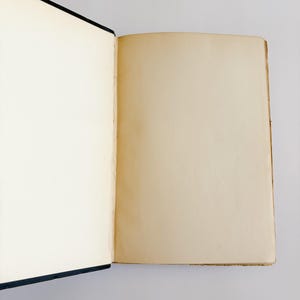 May include: An open book with blank pages. The left page is bright white, while the right page has a warm, aged tone. The book's spine is black, and the pages are clean and ready for writing or drawing.