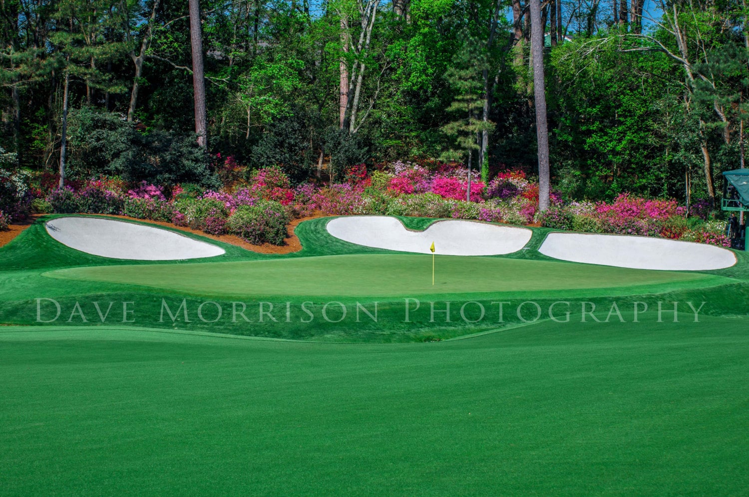 The Masters Golf Azalea Hole No