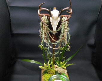 Small tabletop shrine honoring the Horned God Pagan wicca #2