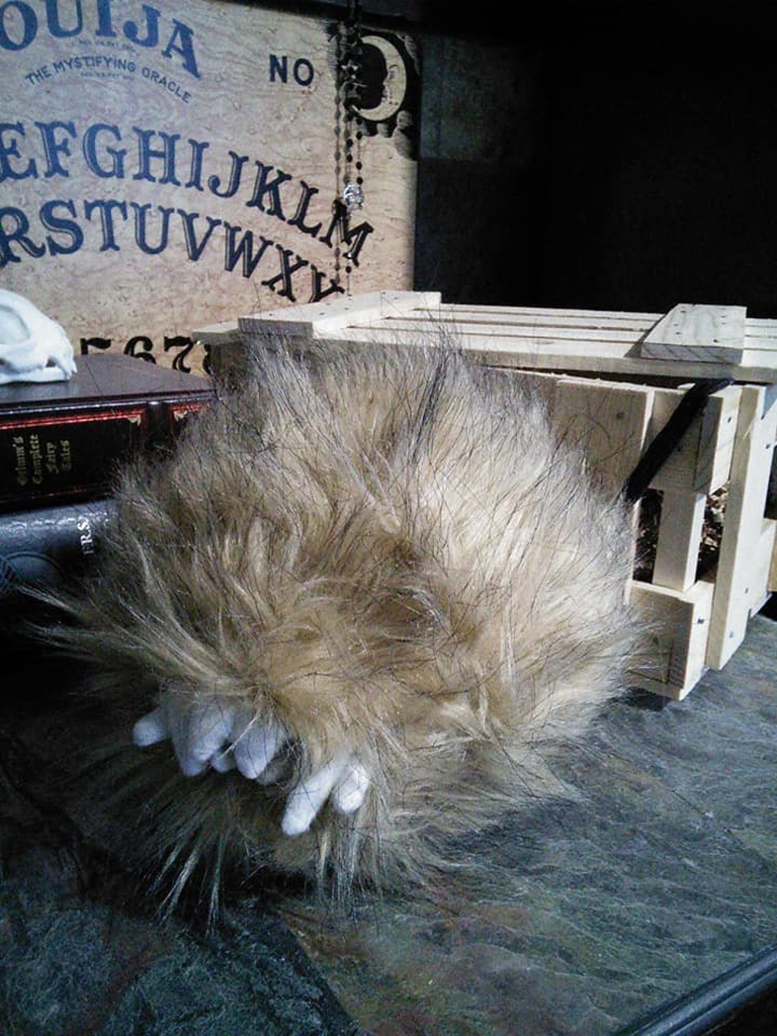 Crated creature mirror universe monster Tribble Etsy