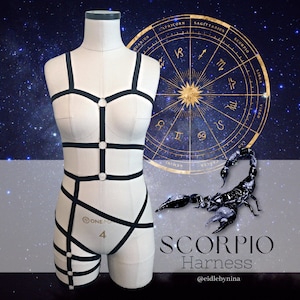 SCORPIO Harness - Elastic Harness | Strappy Full Body | Custom Fit | Pole & Burlesque Dancewear