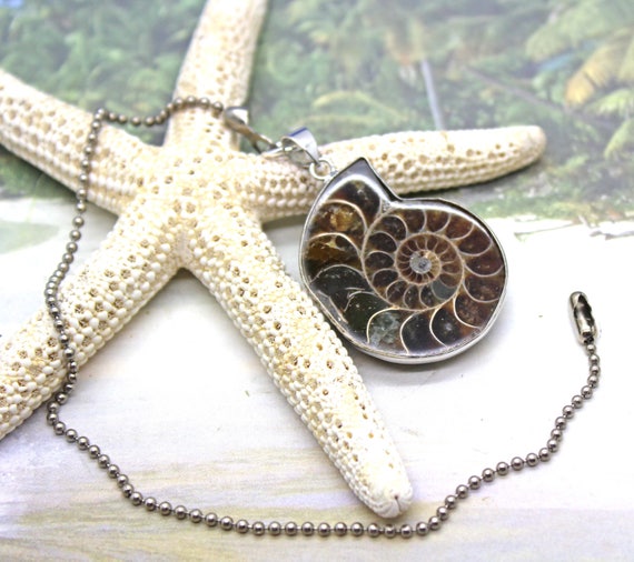 Ceiling Fan Pull Ammonite Fan Pull Fixture Ceiling Fan Etsy