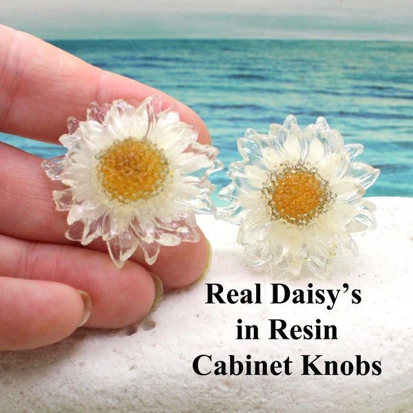 Kast knoppen / echte daisy knoppen - Set van 2, kabinet knoppen, keuken knoppen en trekken, daisy, glazen knoppen