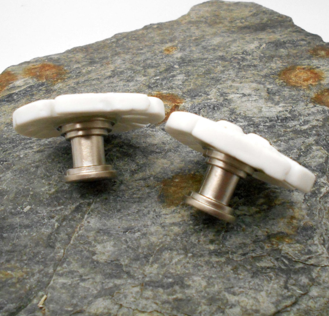 Knobs Stone Knobs Knobs White Glass Sand Dollar Etsy