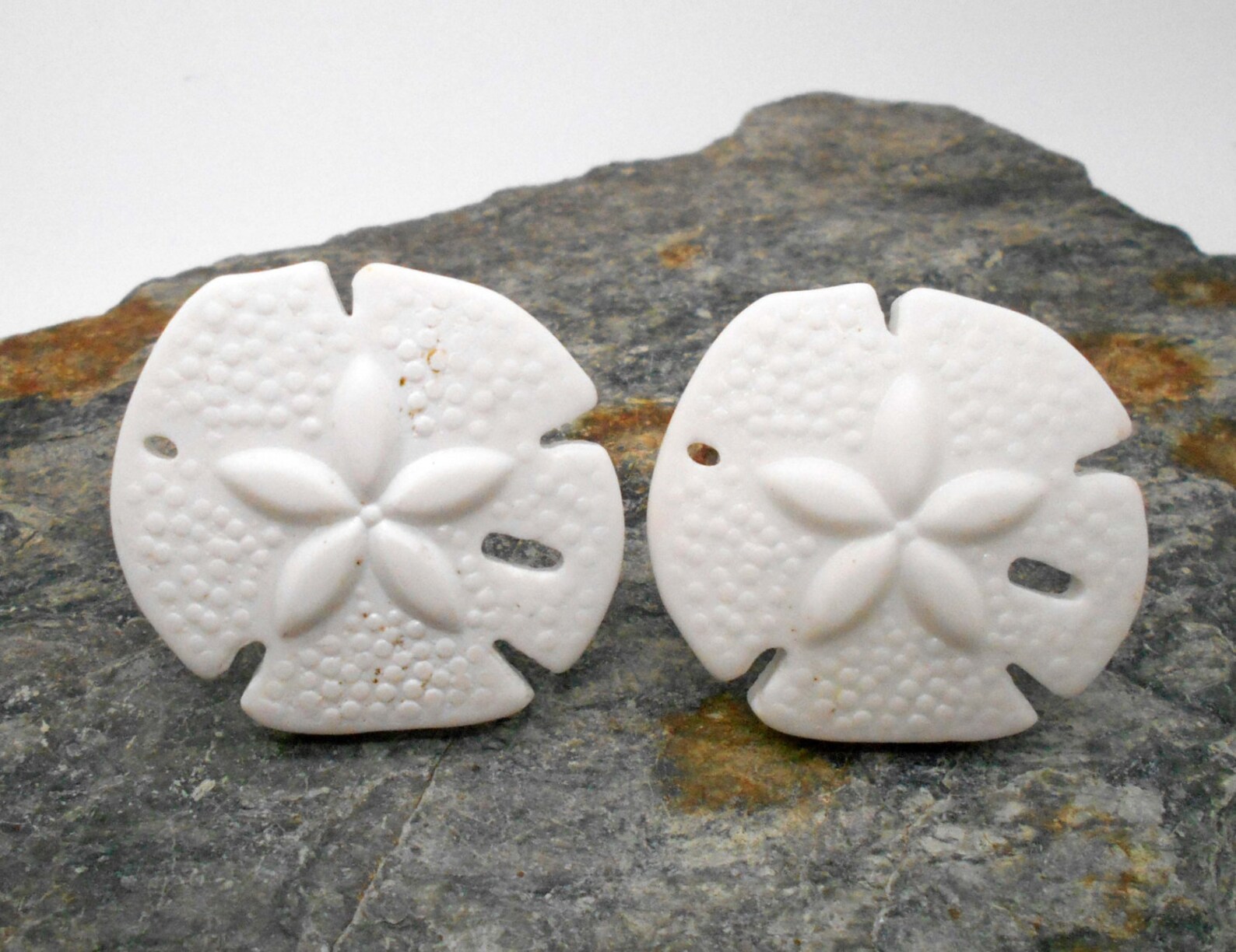 Knobs Stone Knobs Knobs White Glass Sand Dollar Etsy