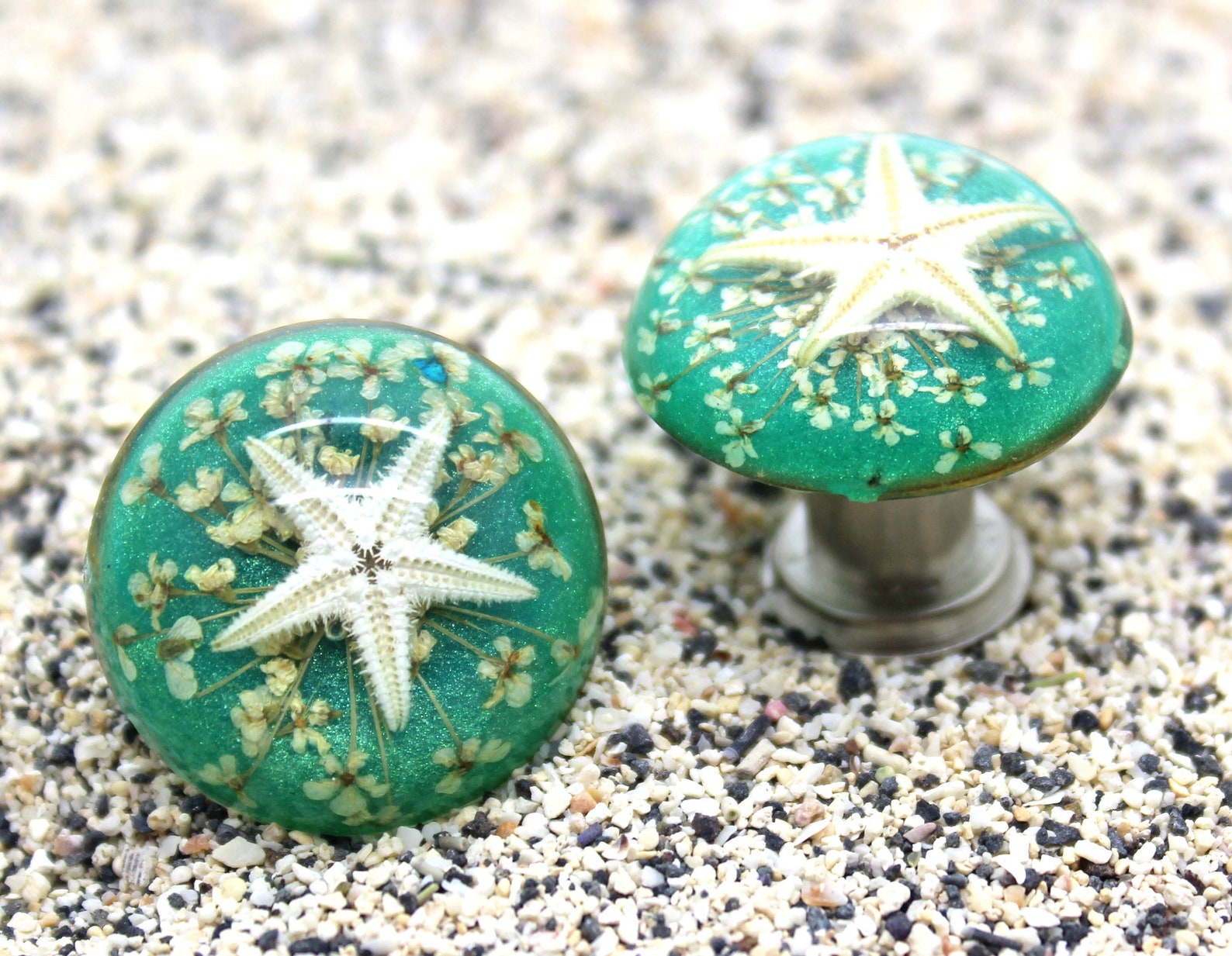 Knobs Glass Starfish Knobs Set of 2 Knobs Etsy