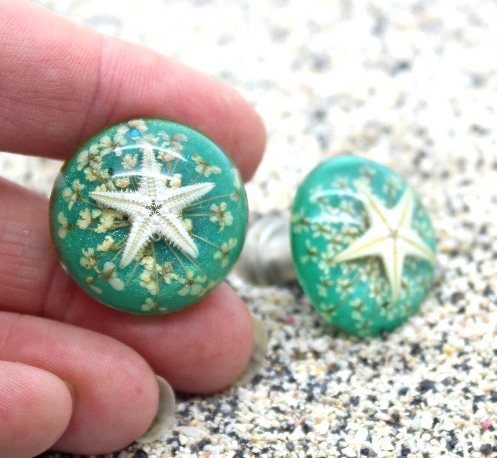 Knobs Glass Starfish Knobs Set of 2 Knobs Etsy