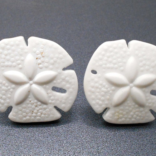 Knobs Stone Knobs Knobs White Glass Sand Dollar Etsy