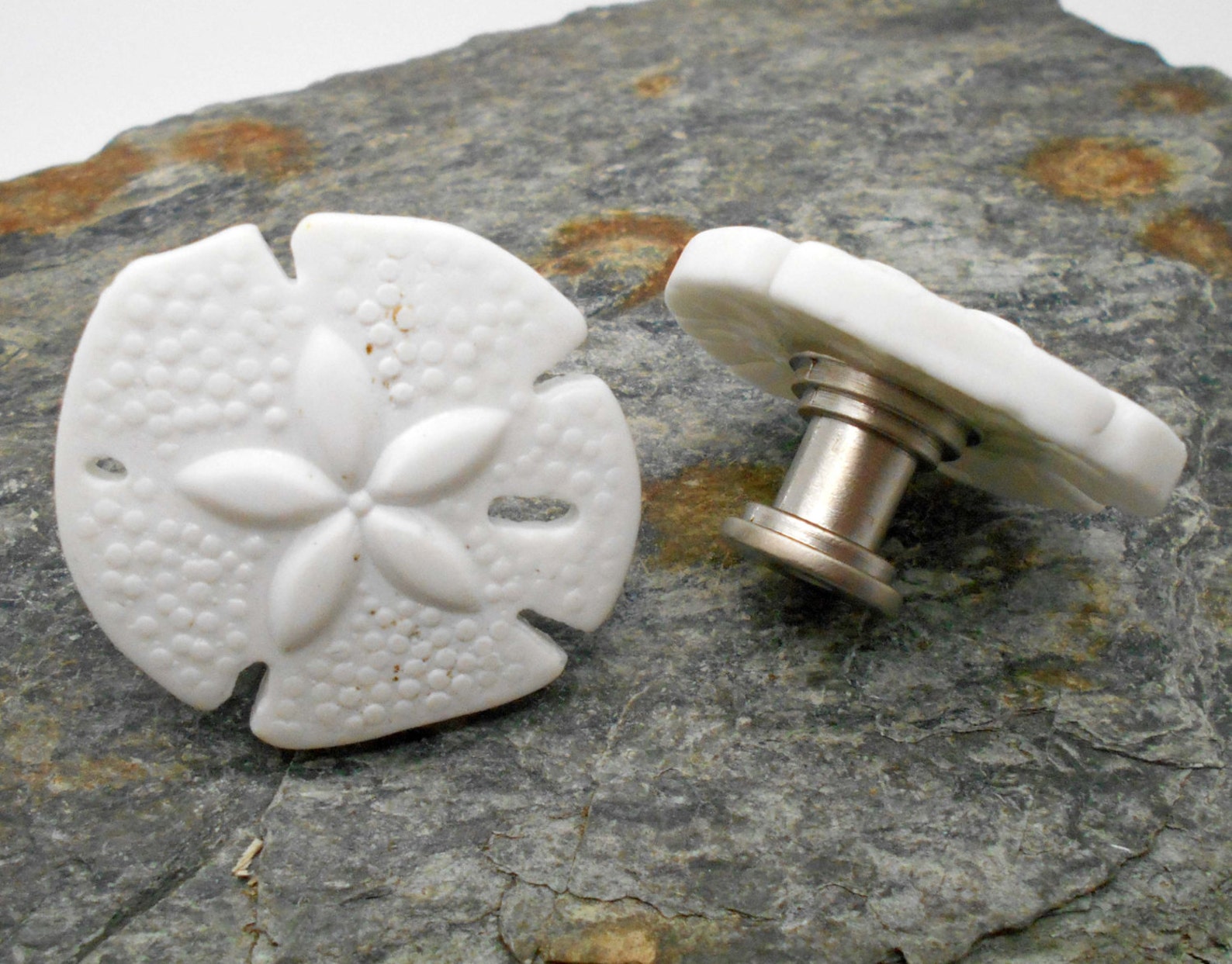 Knobs Stone Knobs Knobs White Glass Sand Dollar Etsy