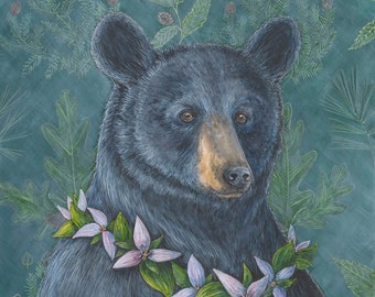 Ursa Major black bear portrait animal art giclee print