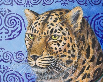 The Shaman - Amur leopard endangered species animal portrait big cat China