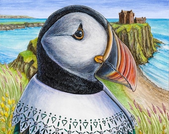 MacPuffin Atlantic puffin Scotland sea coast bird animal portrait