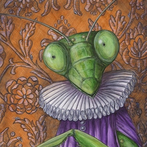 Lady Mantis mantide religiosa in edizione limitata stampa fine art Ritratto di insetto animale antropomorfo rinascimentale