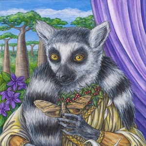 Frangipani ring tailed lemur Madagascar endangered species animal portrait